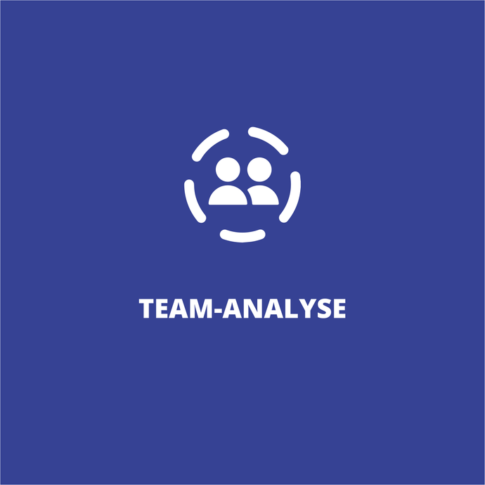 Team-Analyse - Sales Inspiration Shop