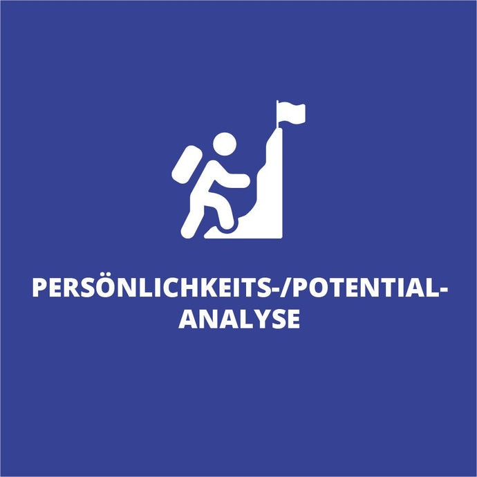 Persönlichkeits- und Potenzial-Analyse - Sales Inspiration Shop